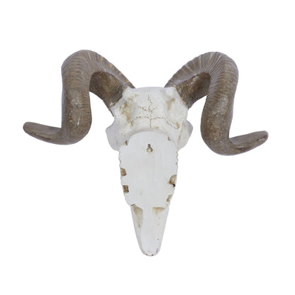 White Polystone Skull Sheep Wall Decor