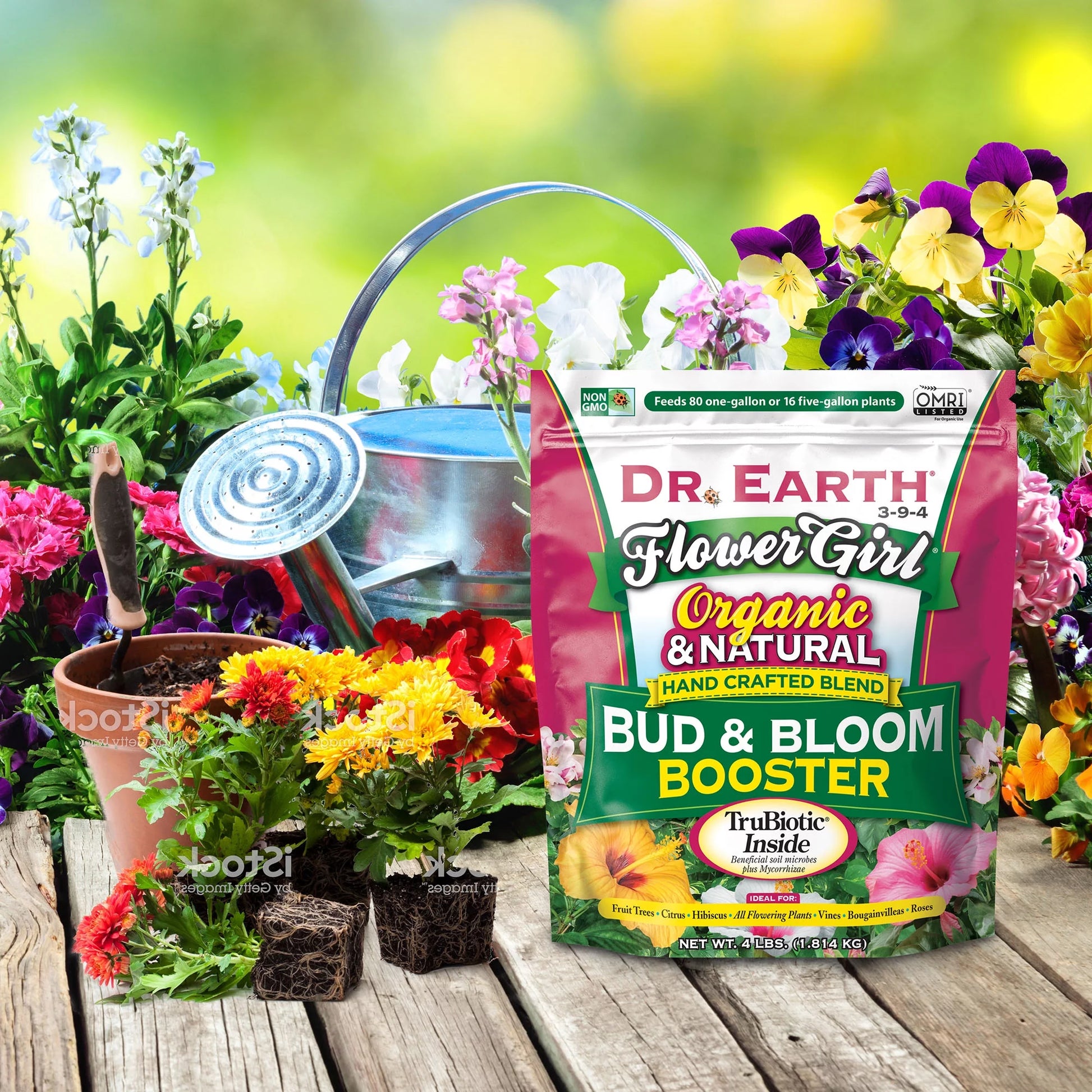 Flower Girl Premium Bud & Bloom Booster Plant Food, 3-9-4 Fertilizer, 4 Lb.