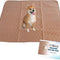 Reusable Dog Pee Pads - Waterproof Training Pads for Dogs - Washable & Sanitary - Rounded Corners - Laminated, Lightweight, Durable - Pet Essentials for Puppy Training and Whelping - 48" X 60"