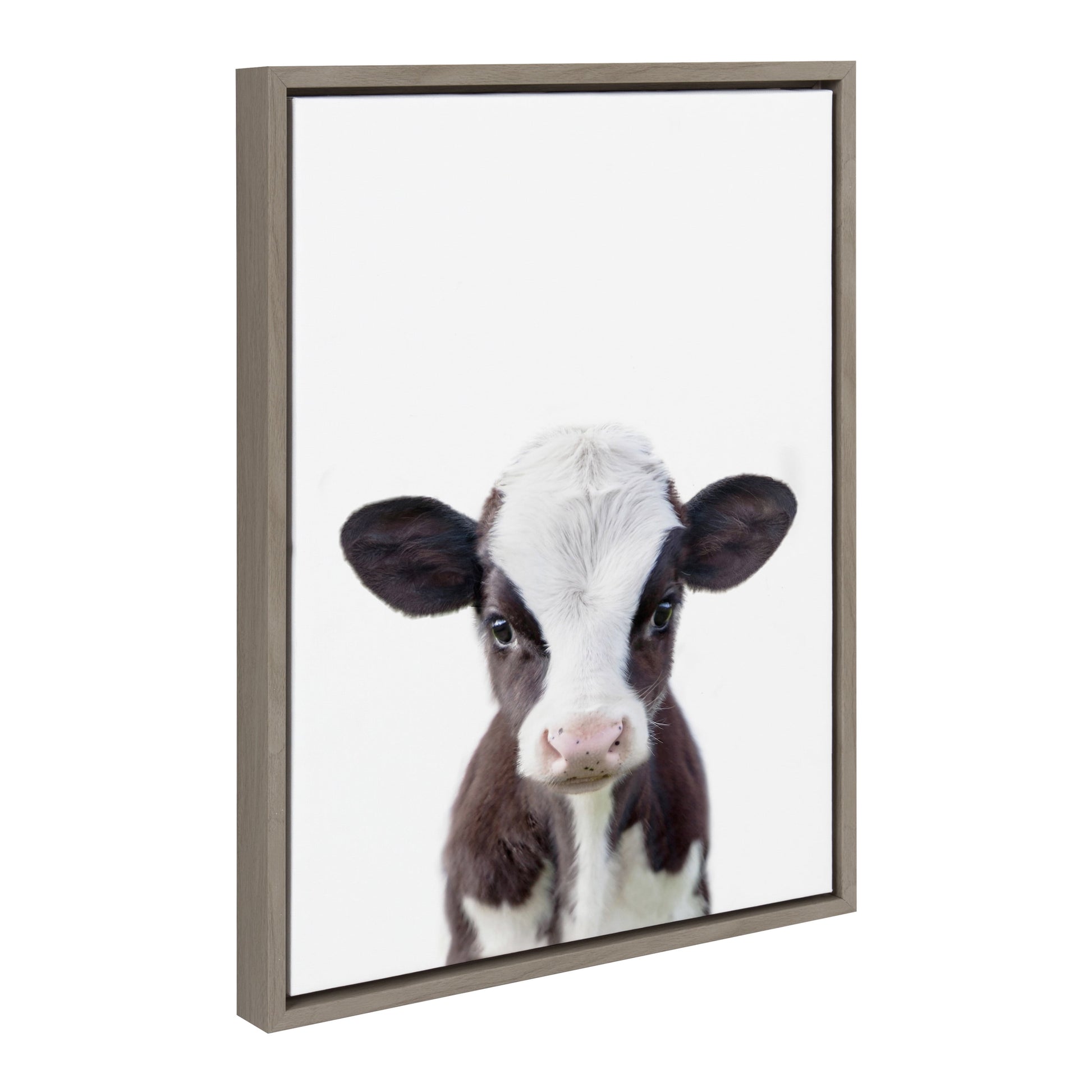Sylvie Baby Cow Portrait Framed Canvas Wall Art by Amy Peterson, 18X24 Gray, Cute Baby Animal Home Decor for Living Room, Bedroom, or Nursery