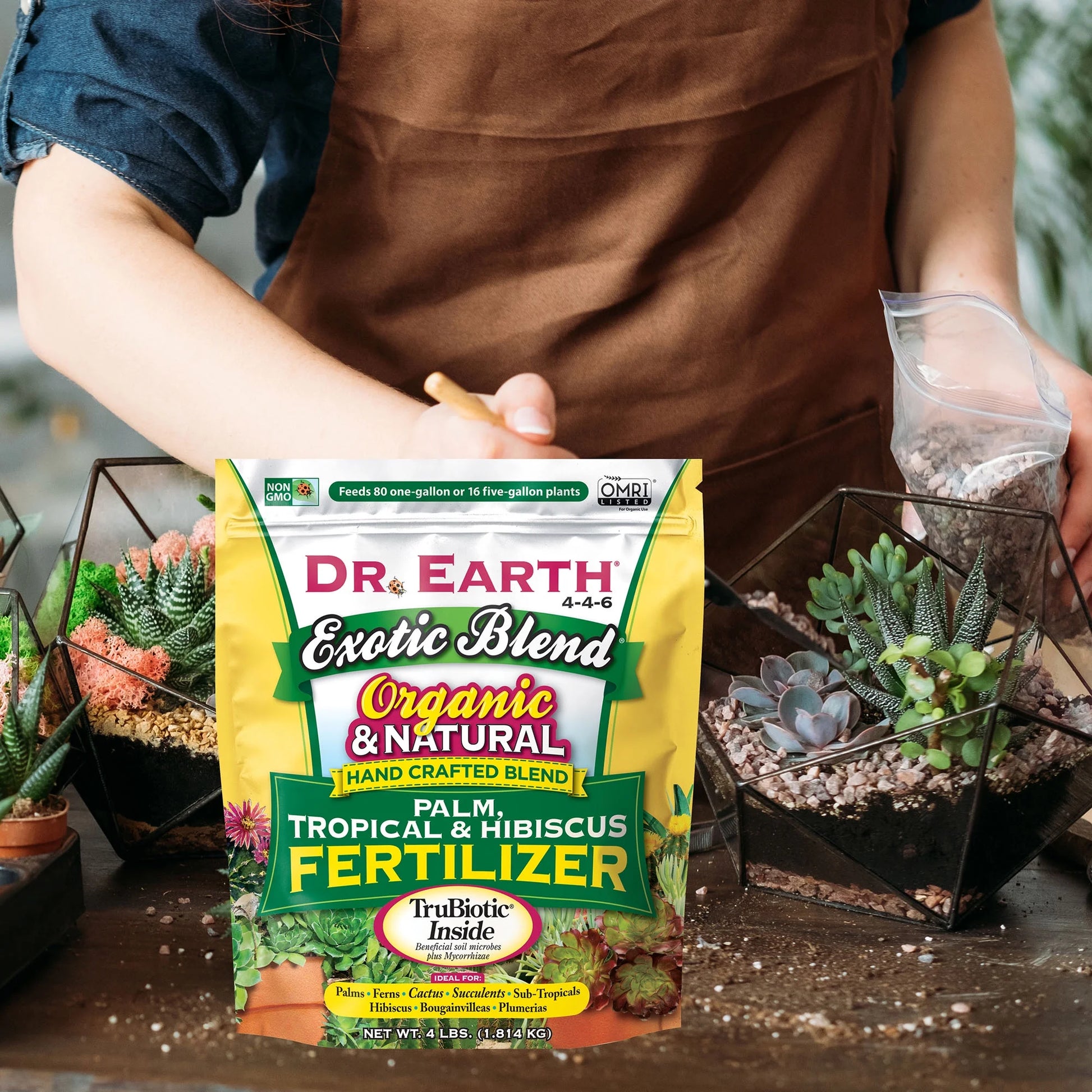 Exotic Blend Palm & Tropical Fertilizer 6-4-6 4Lb