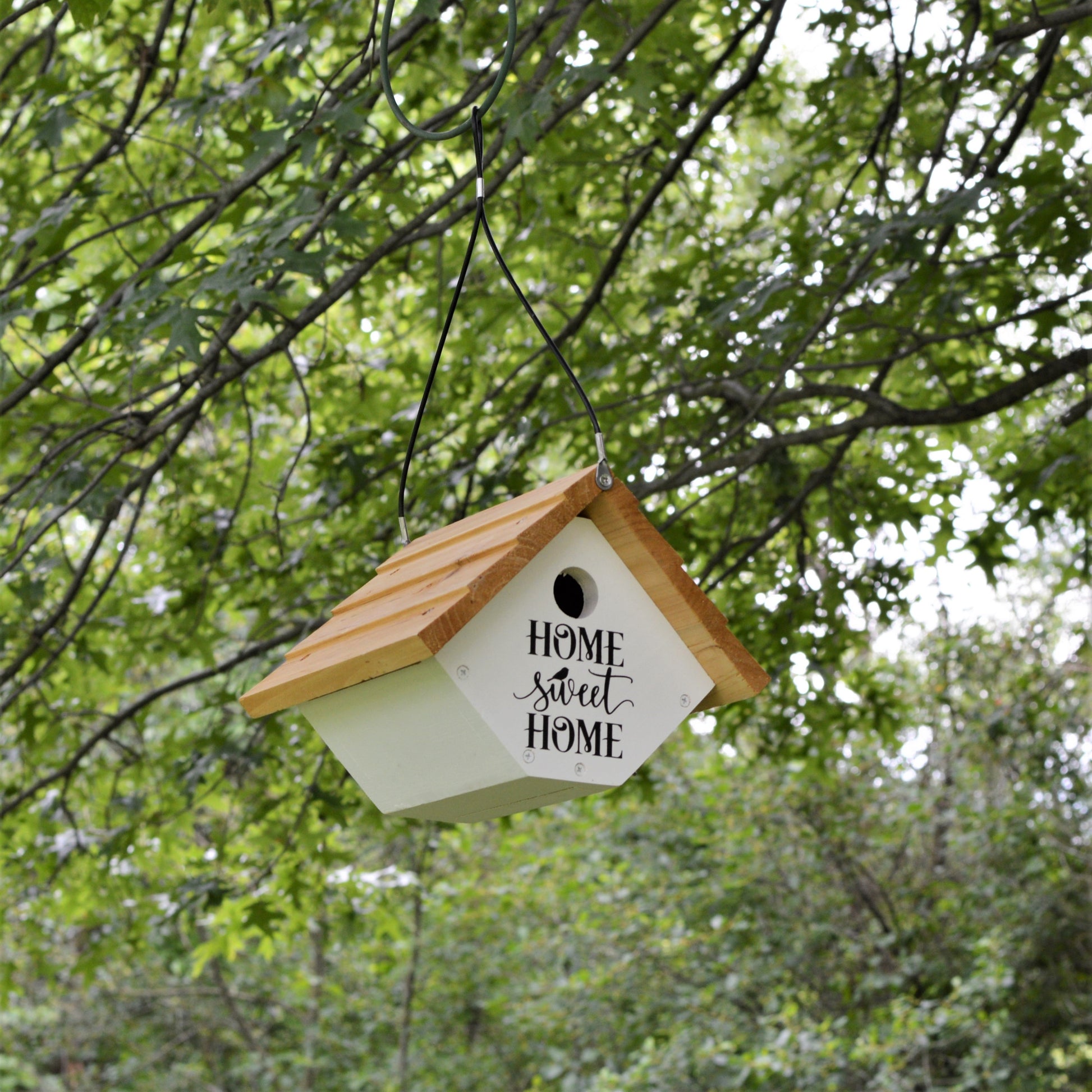 Farmhouse Wren House