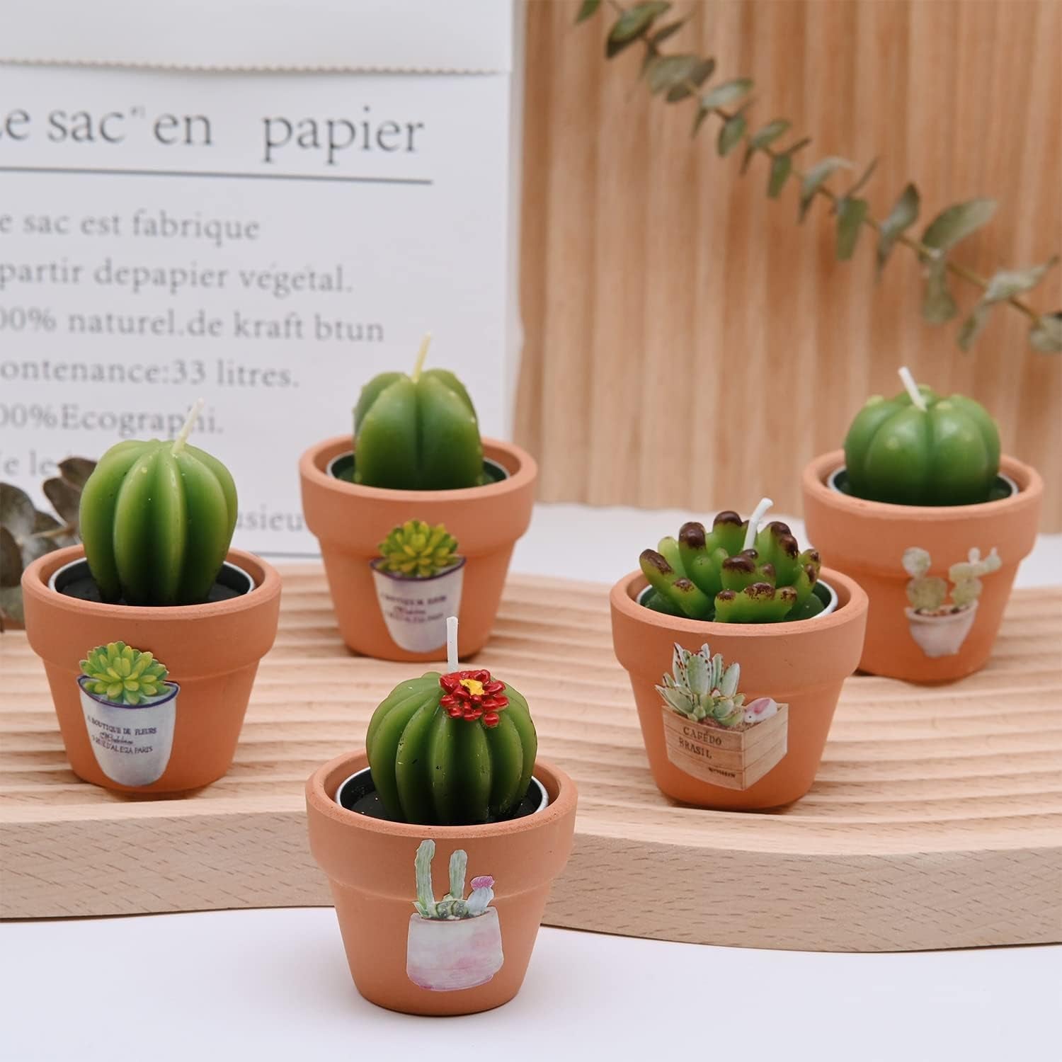 Cactus Tealight Candles with Tiny Terracotta Pots Holder, Succulent Baby Shower Favors Decorations, Delicate Decorative Candles Valentine'S Day Birthday House-Warming Party Spa Home Decorates (6)…
