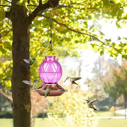 Hummingbird Feeder, Glass Hummingbird Feeder for Outdoors, Netted Texture Ball Shape Bottle, 20 Ounces, Lavender